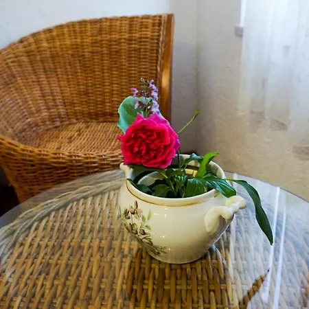 Apartment Gardens