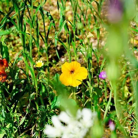 Apartmán Gardens