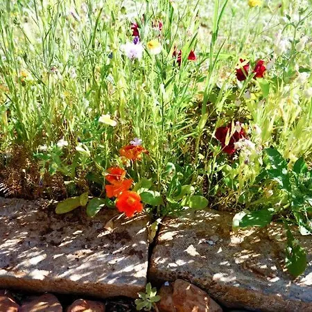 Gardens Apartmán